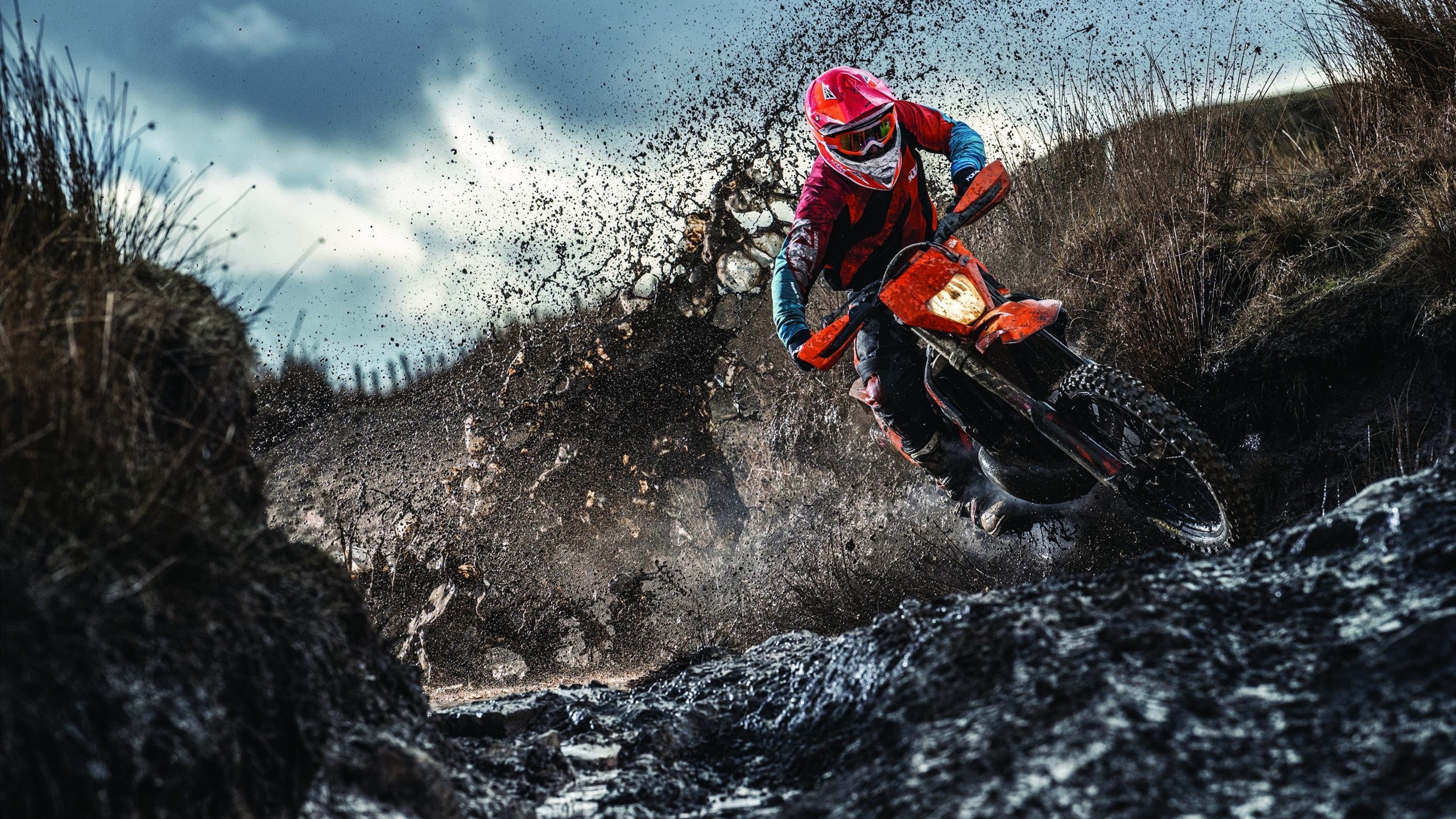 浓眉一柱擎天定乾坤,猛龙铁血防守斩火箭